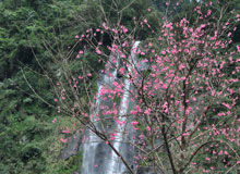  Experience a touch of nature in  Wulai