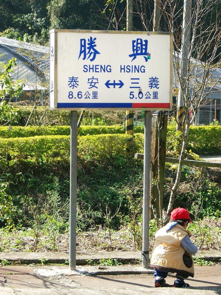 Photo:Eva隨手拍