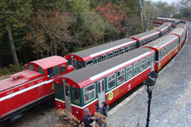 Alishan Forest Railway- Zhushan & Sacred Tree Routes