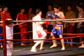 Thai Boxing Tour (Muai Thai) 
