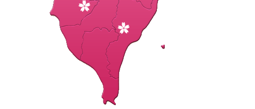 Taiwan Cherry Blossom Season