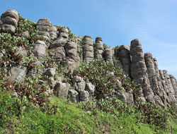 Penghu Natural Scenery Tour