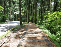 溪头自然教育园区