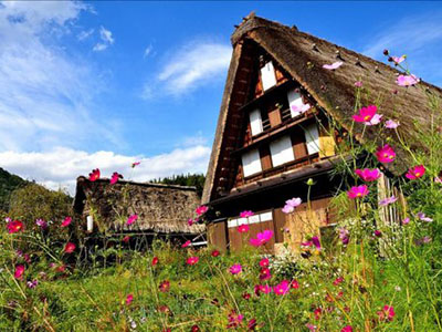 【夏日小松】四日遊