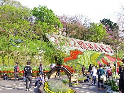 2012 Yangmingshan Flower Festival (Photo: Eva P.)