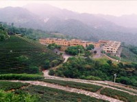 文山茶叶改良场<br/> 摄影：餐飲名店情報