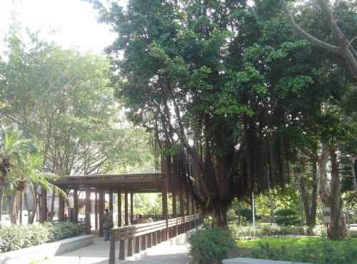 Beitou Park-