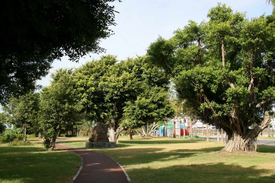 榕樹下藝術作品 攝影：老山羊部落格