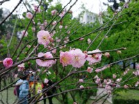 Photo:Eva隨手拍