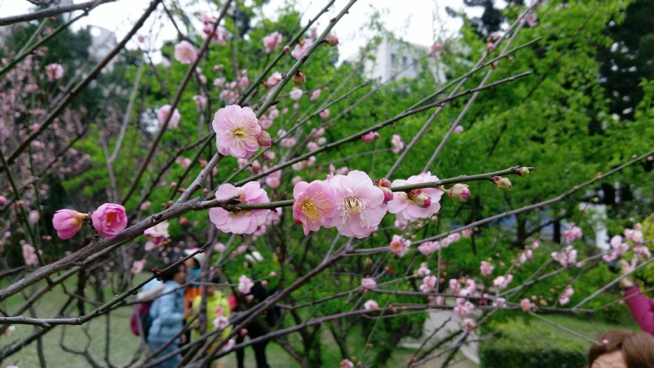 Photo:Eva隨手拍