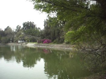 幽静湖面 摄影：郭香妙