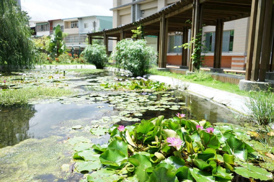 园区内的生态池 摄影：臺灣印刷探索館 提供
