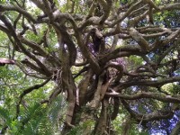 莺山森林文化博物馆<br/> 摄影：Lu
