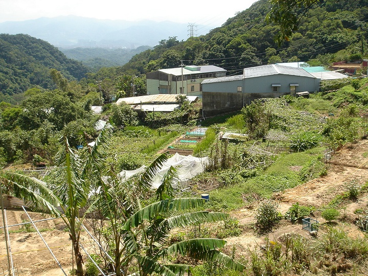 白石湖地區 攝影：陳美吟