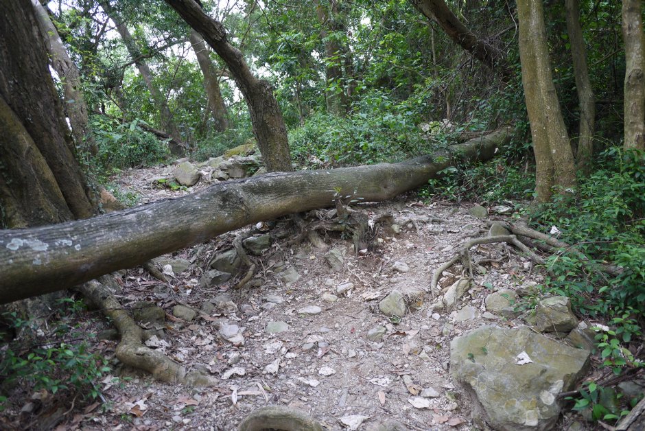 尾寮山步道 摄影：旅遊王攝影組
