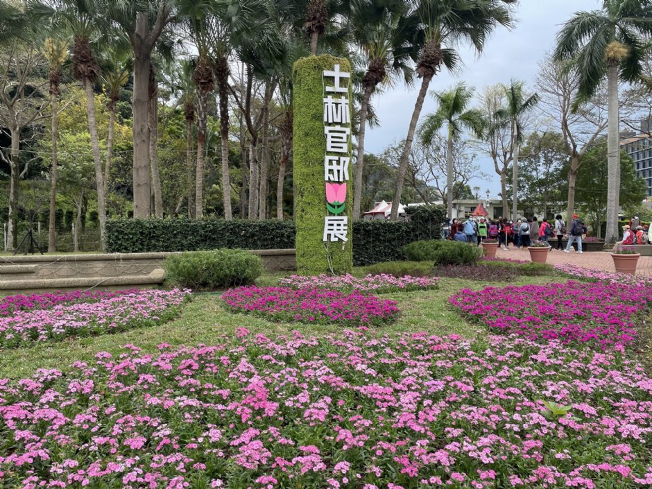 2021士林官邸郁金香展 摄影：Eva隨手拍