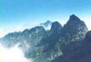 賽武當<br/> 攝影：四川旅遊信息網