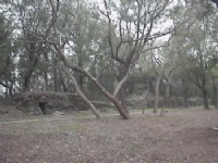 清静公园<br/> 摄影：郭香妙