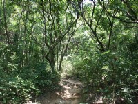 Photo:老山羊部落格