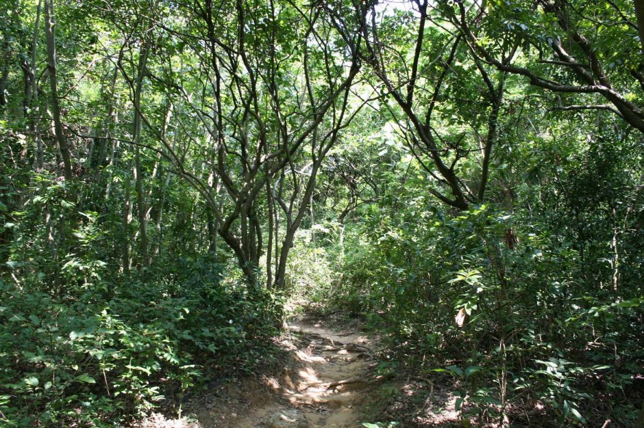 Photo:老山羊部落格