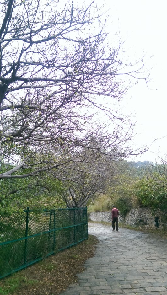 龙凤谷与硫磺谷游憩区 摄影：Eva隨手拍