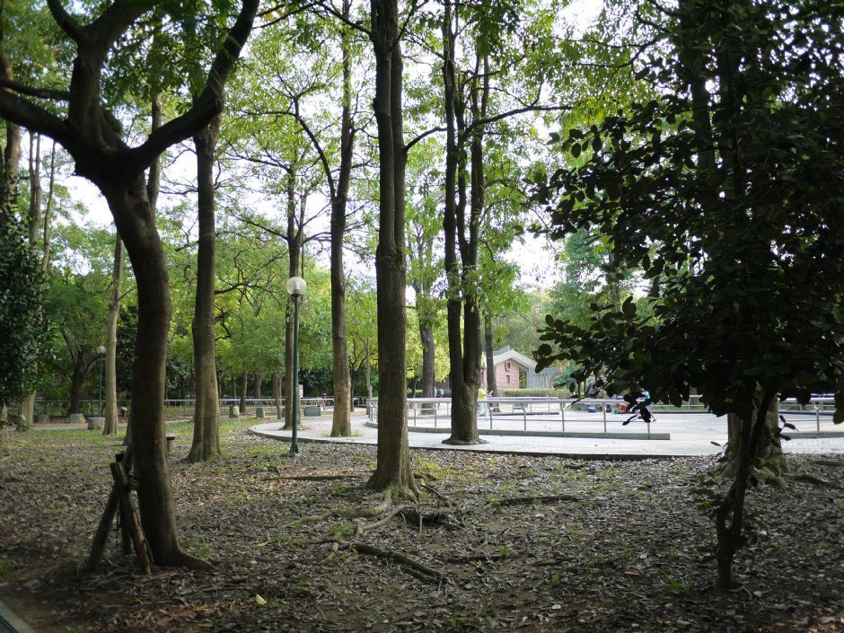 高雄都会公园 摄影：三個井