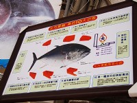 東港漁業文化展示館