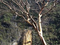 雾鹿温泉源头<br/> 摄影：林錦萍
