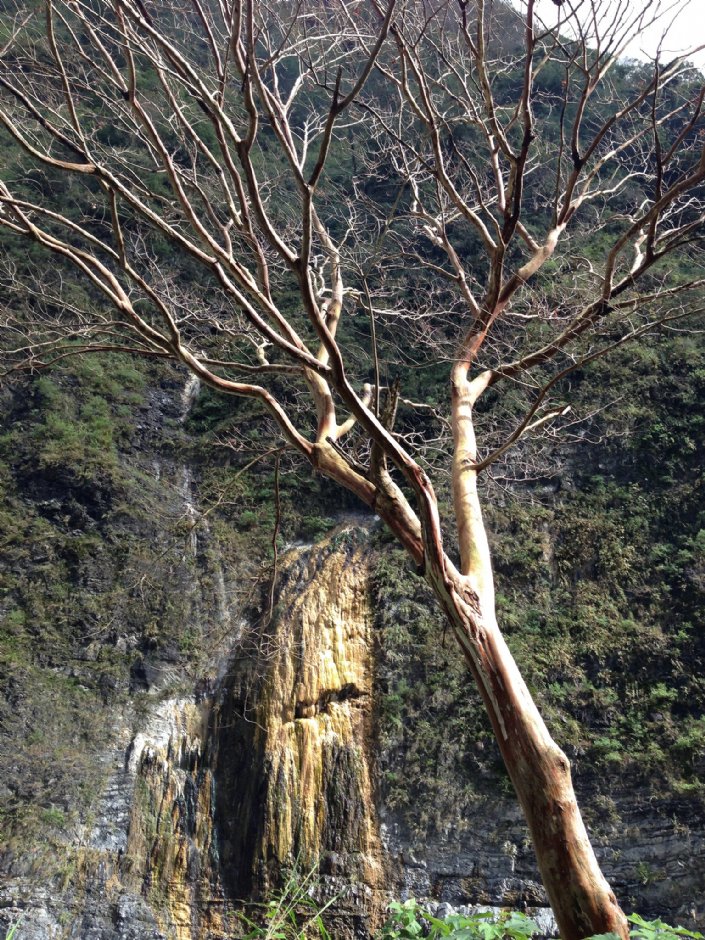 雾鹿温泉源头 摄影：林錦萍
