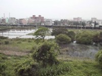 火车来了<br/> 摄影：郭香妙