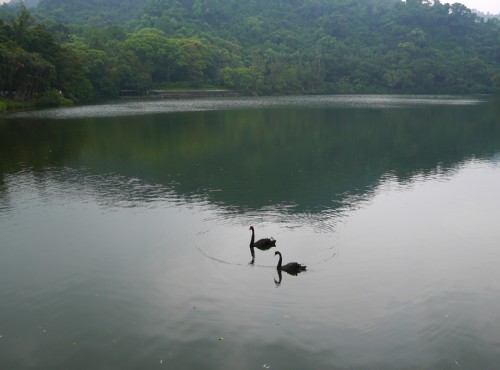 Cihu & Cihu Mausoleum-