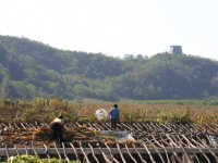 虎山长城<br/> 摄影：馮順