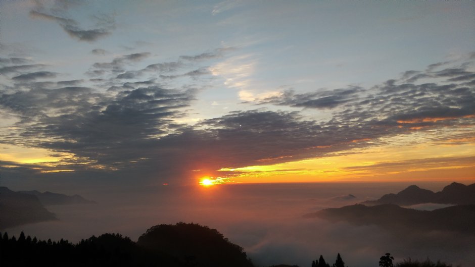 Photo:晏伶