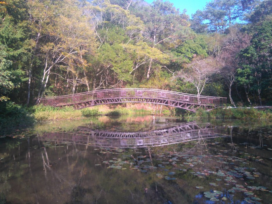 Photo:Lu
