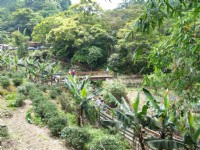 南天母登山步道