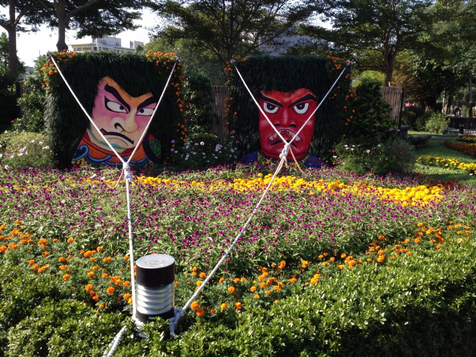 2013年菊展 摄影：zean