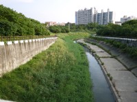 高雄都会公园<br/> 摄影：三個井