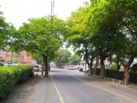 虎尾糖厂外道路<br/> 摄影：Eva隨手拍