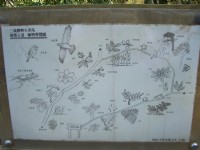 植物导览图<br/> 摄影：鄭瑄頤