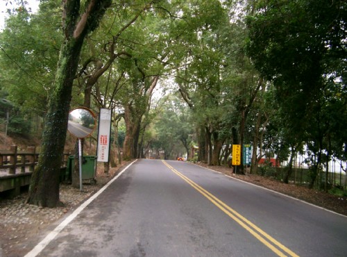 集集绿色隧道自行车道