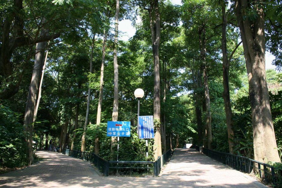 Photo:老山羊部落格