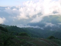 觀霧國家森林遊樂區