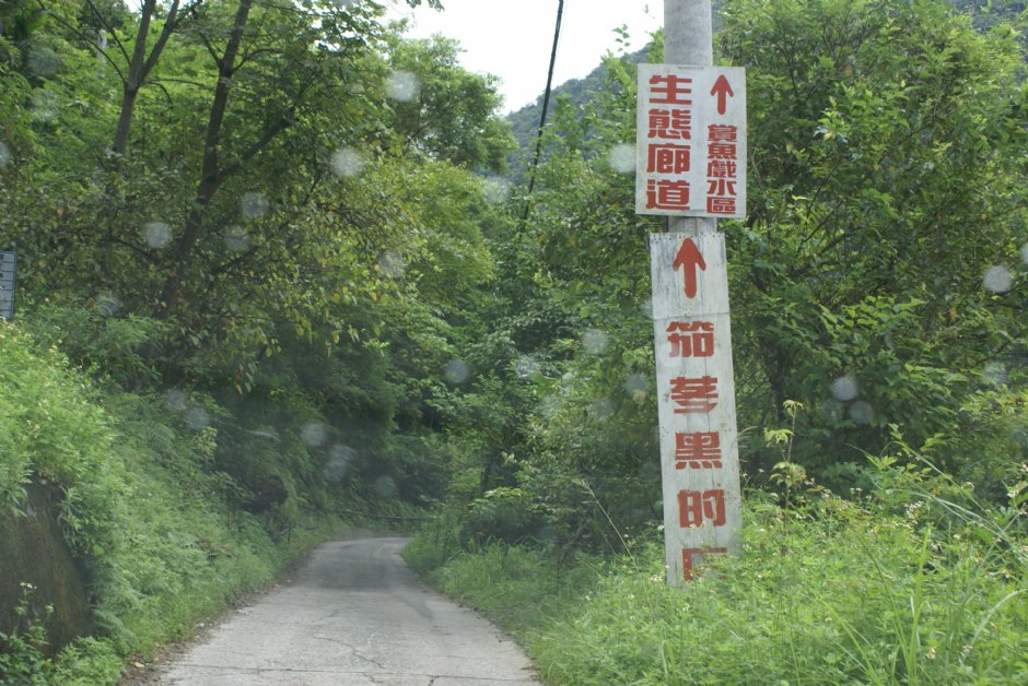 Photo:Eva隨手拍