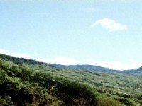 水田风景区<br/> 摄影：呂玫瑢