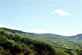 水田风景区 摄影：呂玫瑢