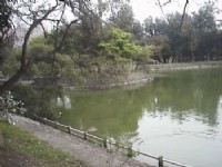 美丽湖畔<br/> 摄影：郭香妙
