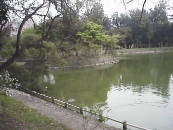 美丽湖畔 摄影：郭香妙
