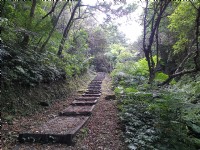 富民親水公園(瑪西桐花步道)