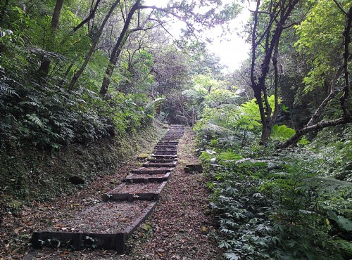 富民親水公園(瑪西桐花步道)-富民親水公園