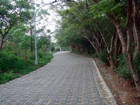 绿色步道<br/> 摄影：余燕鳳